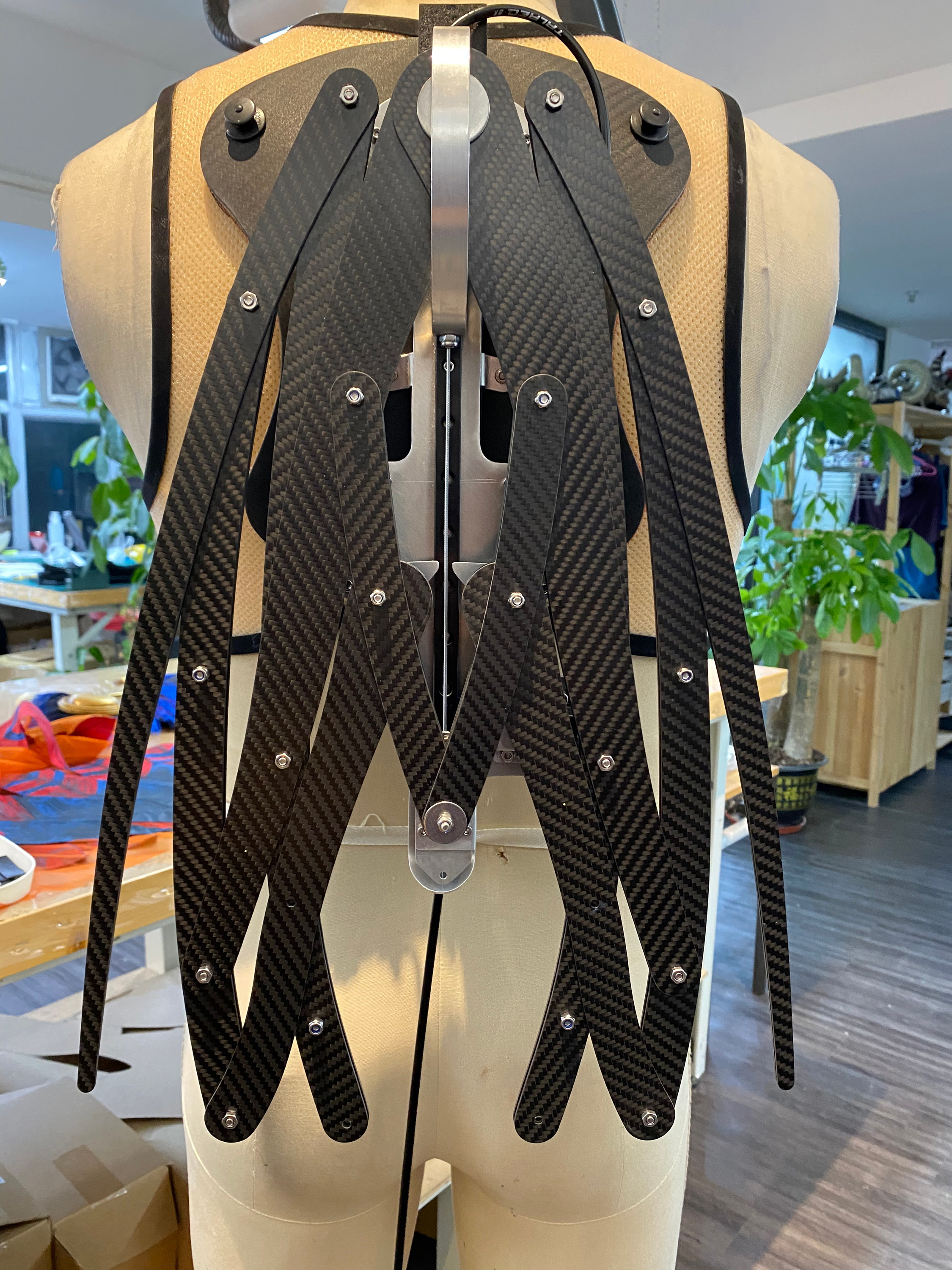 Wicked — Chistery Wings