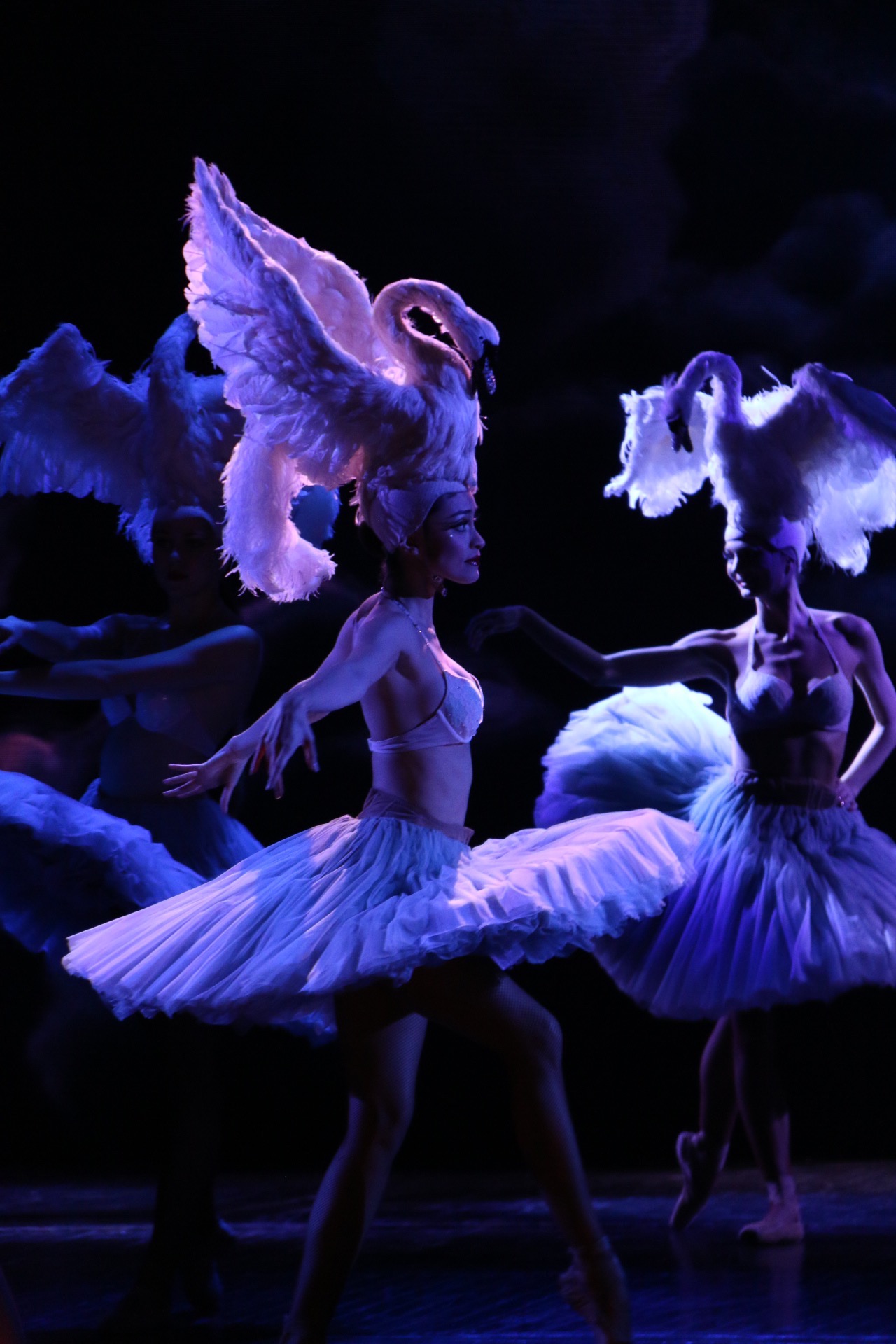 Lido de Paris — Merveilles